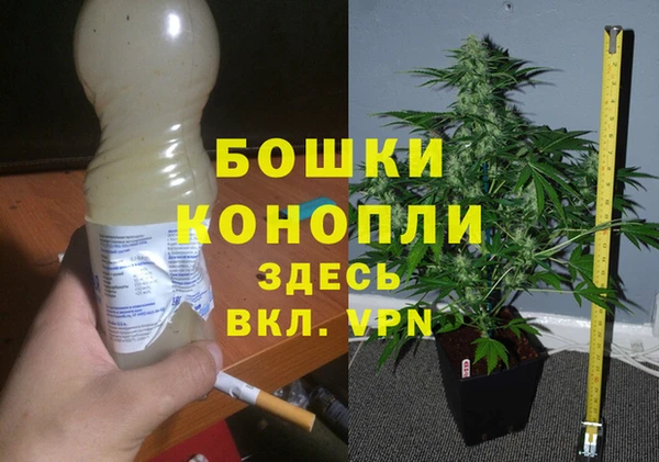 a pvp Гусев