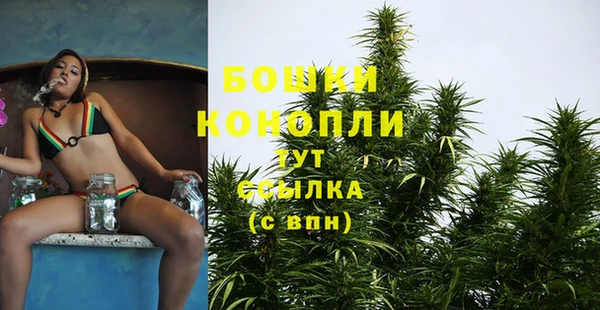 экстази Гусь-Хрустальный