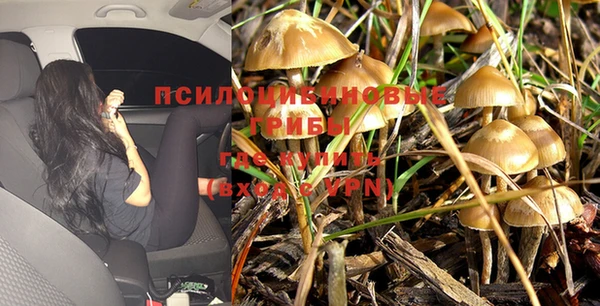 a pvp Гусев