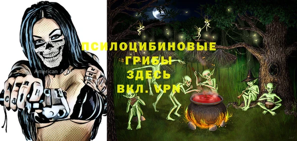 экстази Гусь-Хрустальный